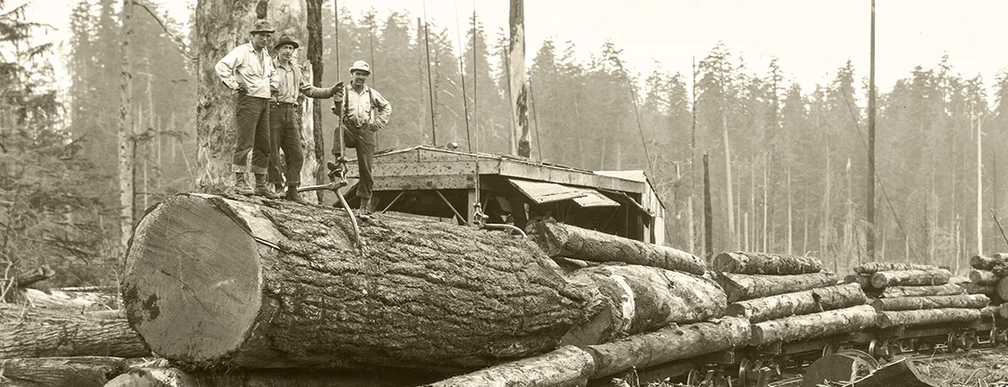 Vintage logging photo showing three loggers standing atop a log after loading on a train