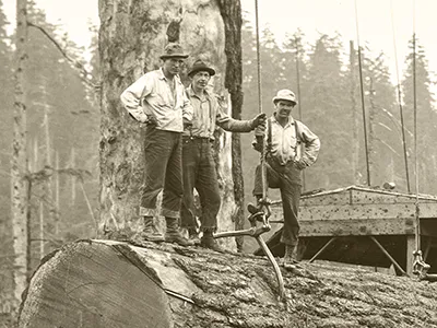 Old photo showing loggers standing atop a large log after it had been loaded on a rail car